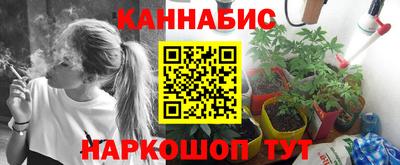 твердый Новозыбков