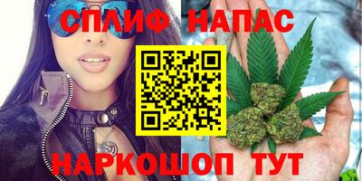 тгк Новокубанск