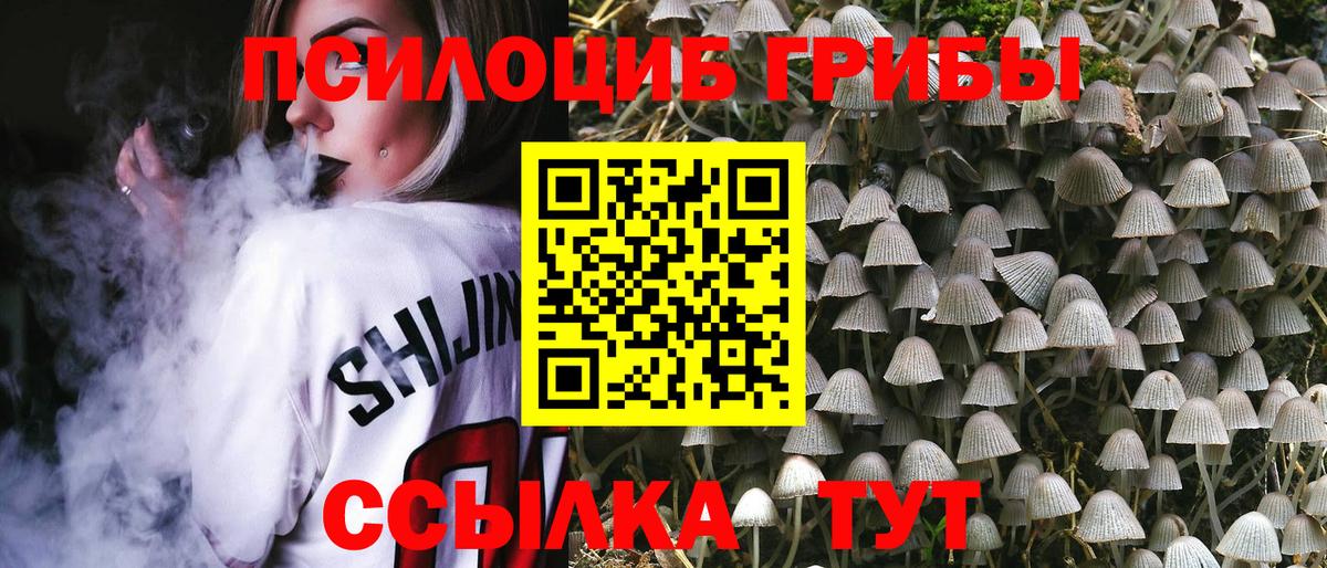 Псилоцибиновые грибы MAGIC MUSHROOMS  Псилоцибиновые грибы мухоморы  Стрежевой  Вход с VPN 