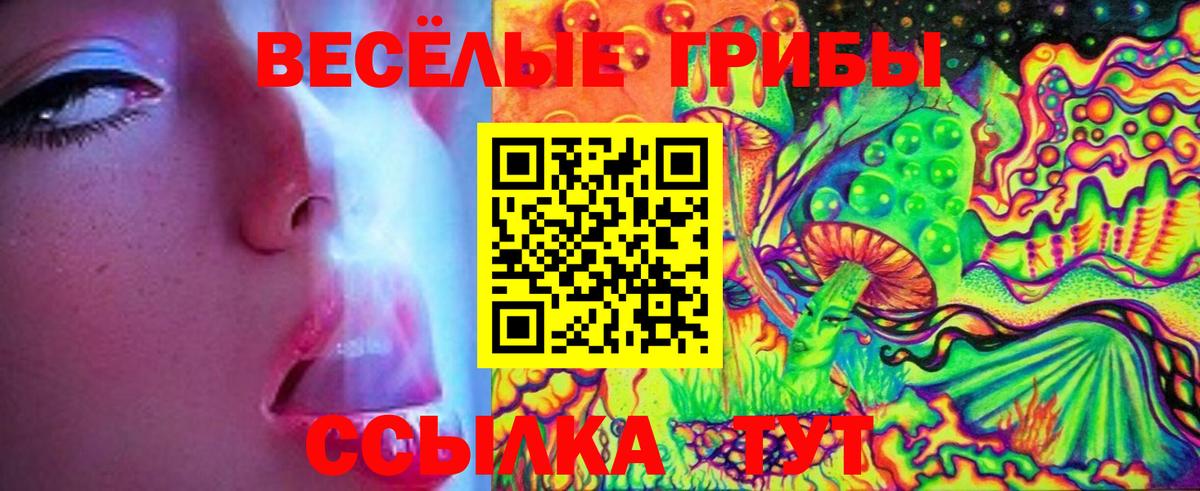 Псилоцибиновые грибы мицелий Стрежевой